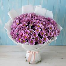 Букет цветов из:  Хризантемы в Усть-Цильме