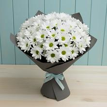Букет цветов из:  Хризантемы #REPLACE_PRED# Усть-Цильме