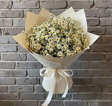 Букет цветов из:  Ромашки в Усть-Цильме