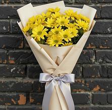 Букет цветов из:  Хризантемы в Усть-Цильме