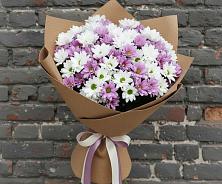 Букет цветов из:  Хризантемы в Усть-Цильме