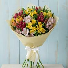 Букет цветов из:  Альстромерии в Усть-Цильме
