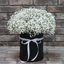 Цветочная композиция из Гипсофила в шляпной коробке в Усть-Цильме