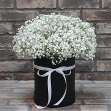Цветочная композиция из Гипсофила в шляпной коробке в Усть-Цильме